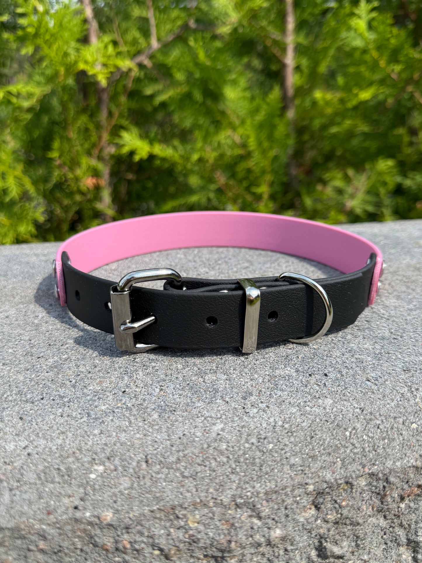 Biothane halsband Svart bas