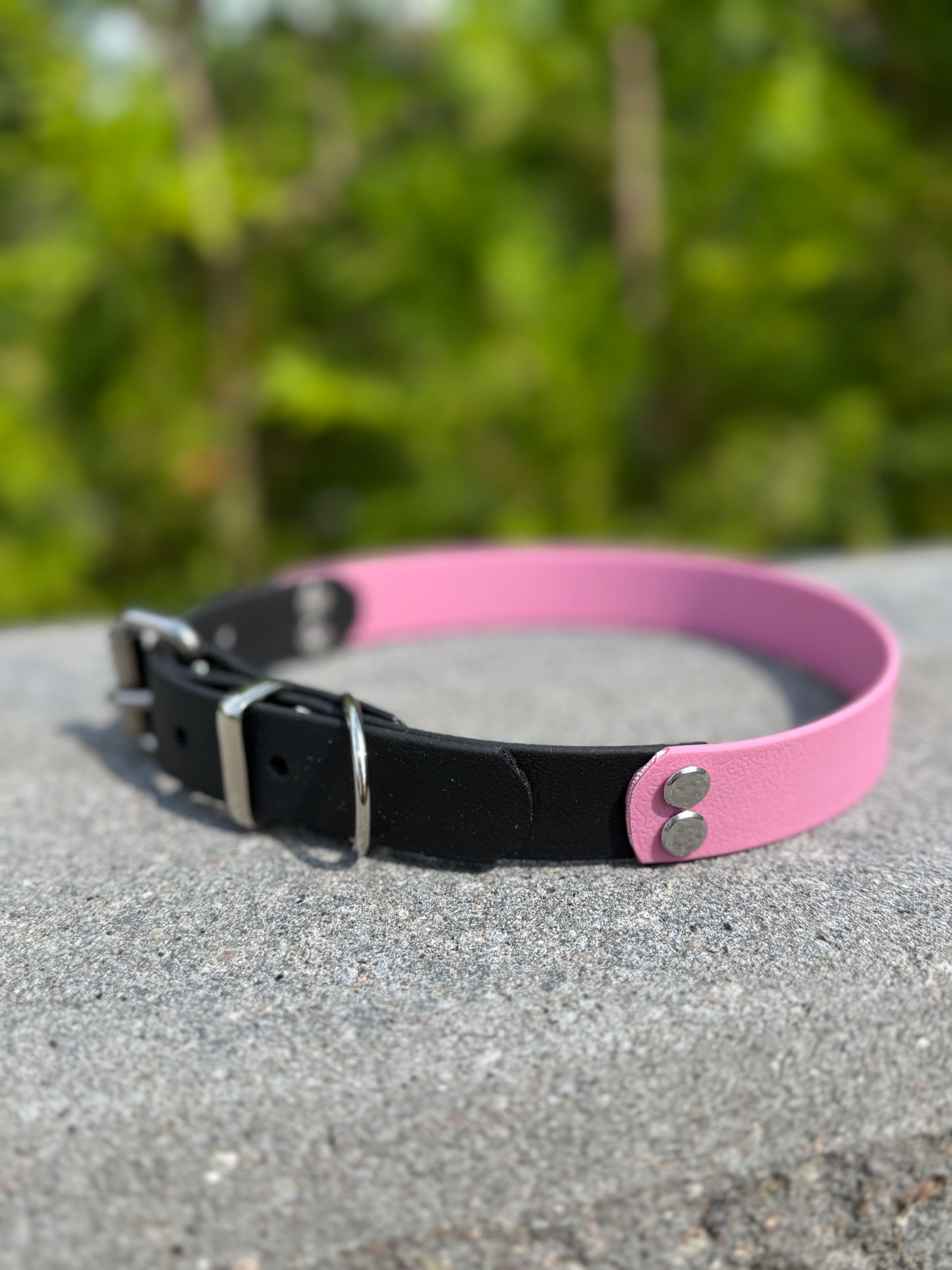 Biothane halsband Svart bas