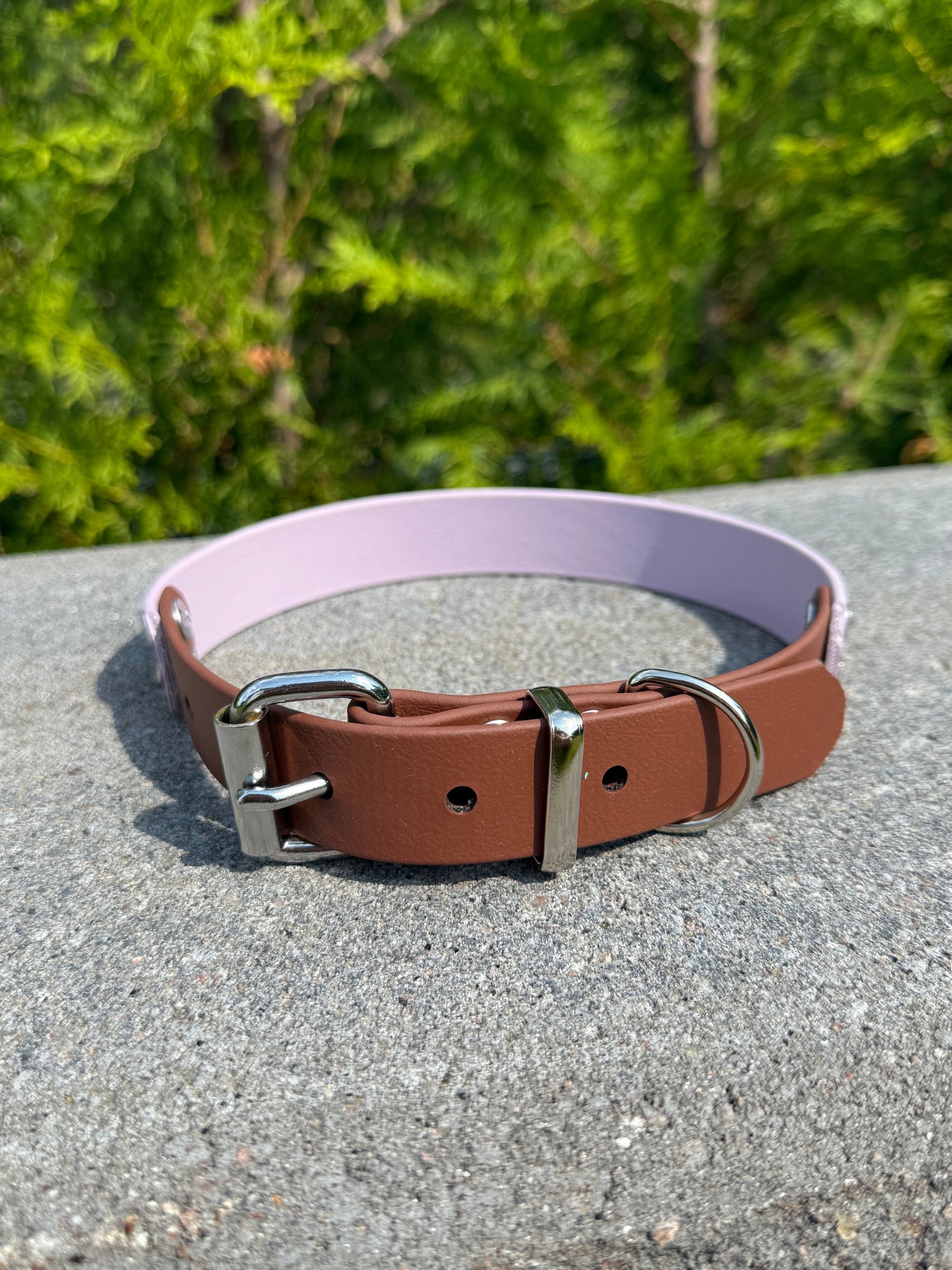 Halsband - Biothane/PVC