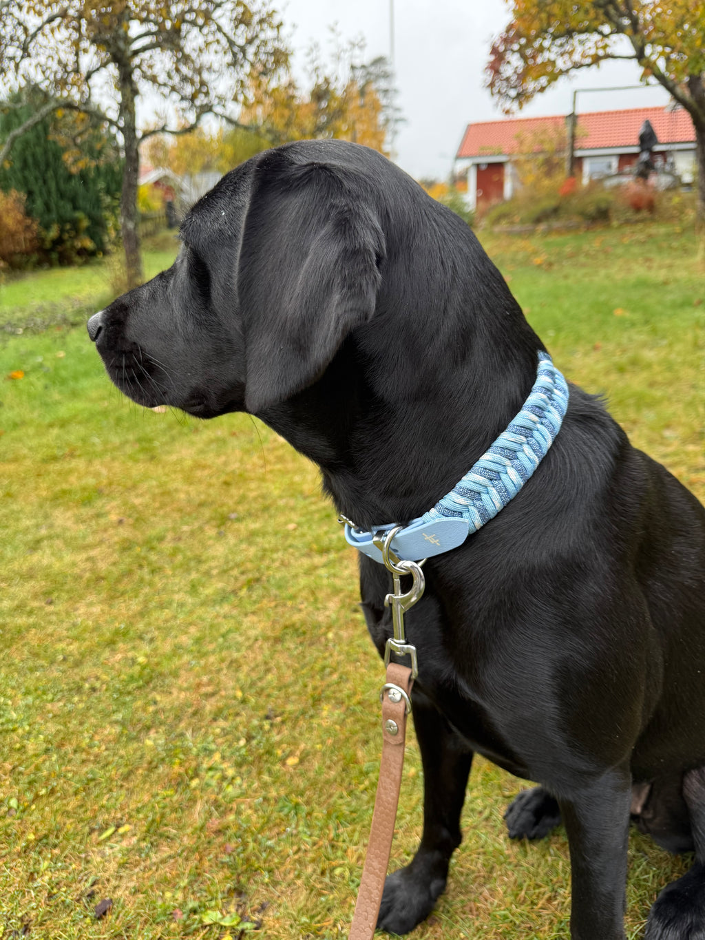 Special beställ - Aura halsband