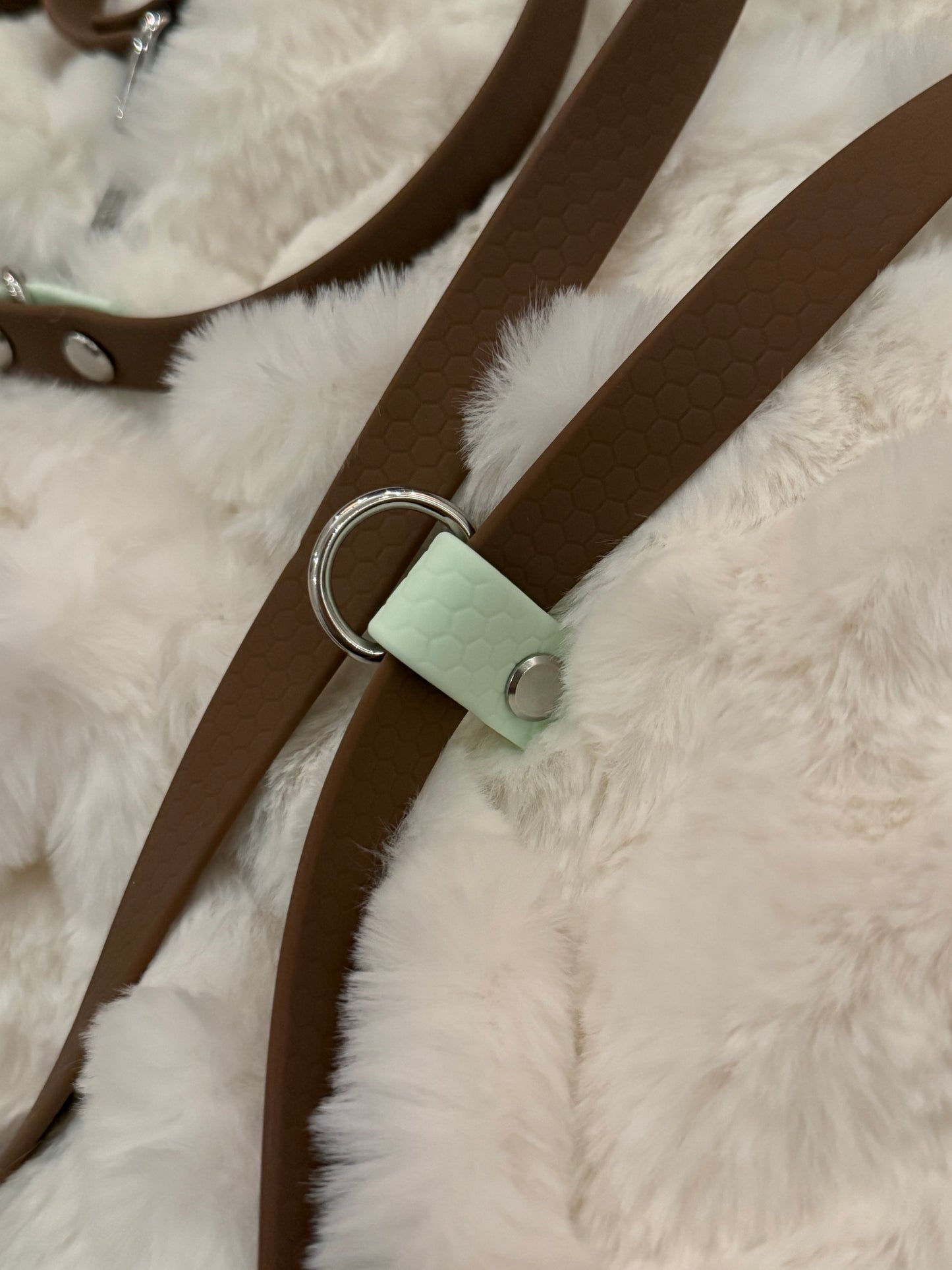 Allt i ett koppel ”hexa”