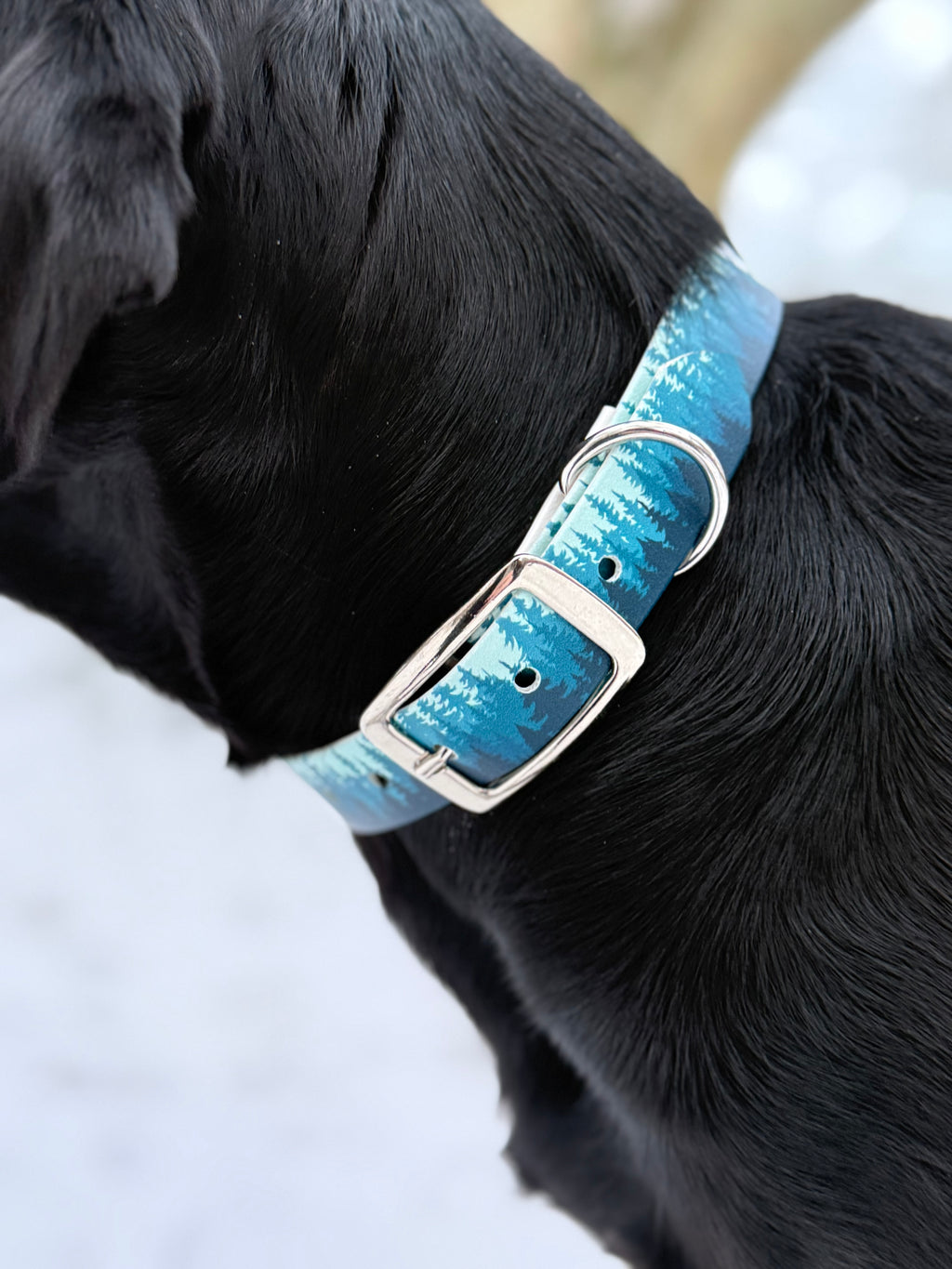 UV-printed Biothane halsband ”blå skogen”