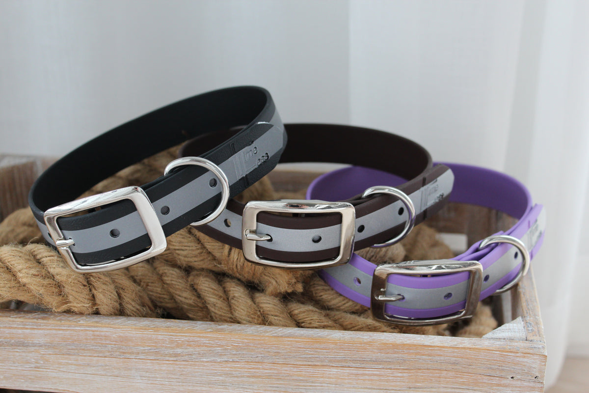 Reflexhalsband