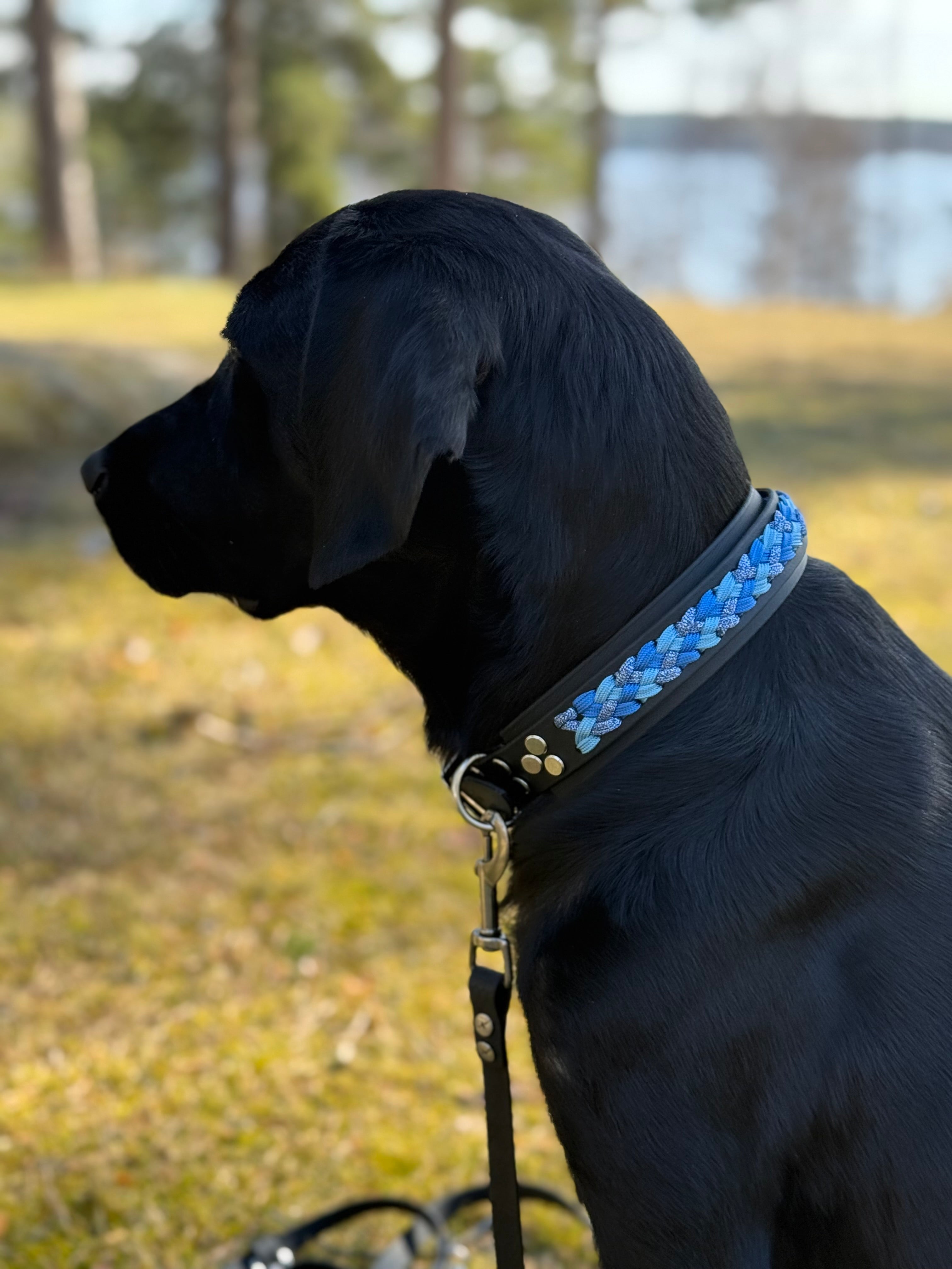 Special beställ - Astra halsband