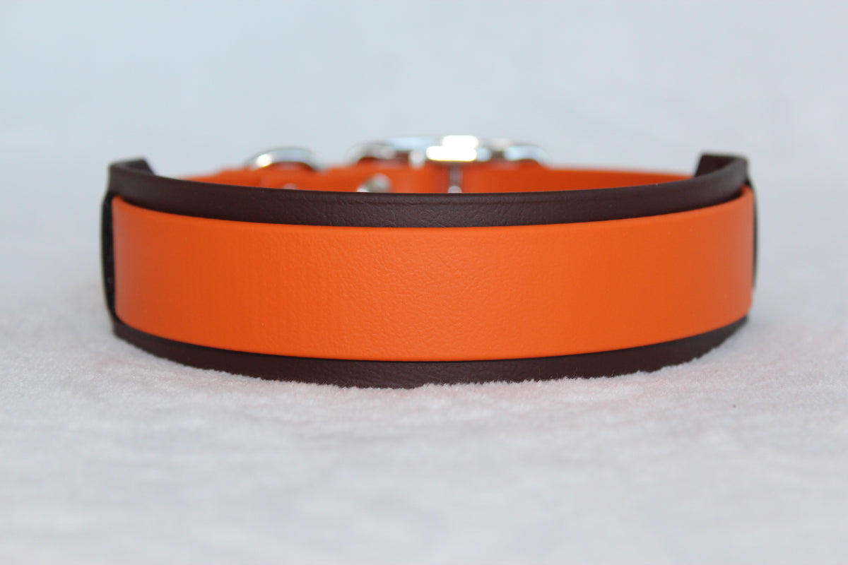 Biothane halsband (höst färger)