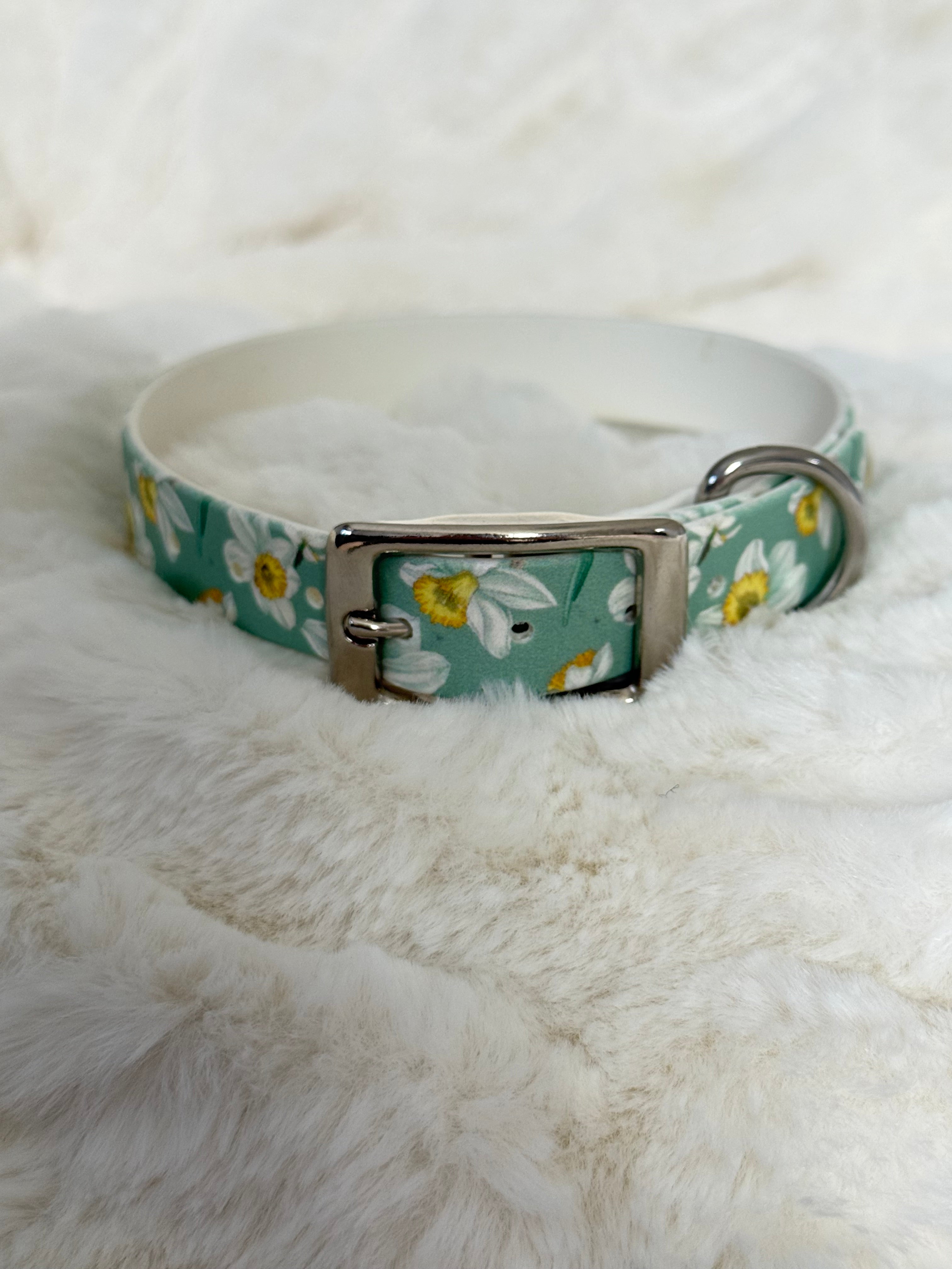 Daisy 🌼 Biothane halsband (20 mm)