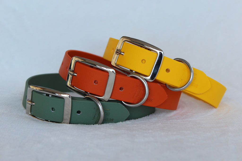 Biothane halsband (höst färger)