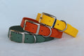 Biothane halsband (höst färger)