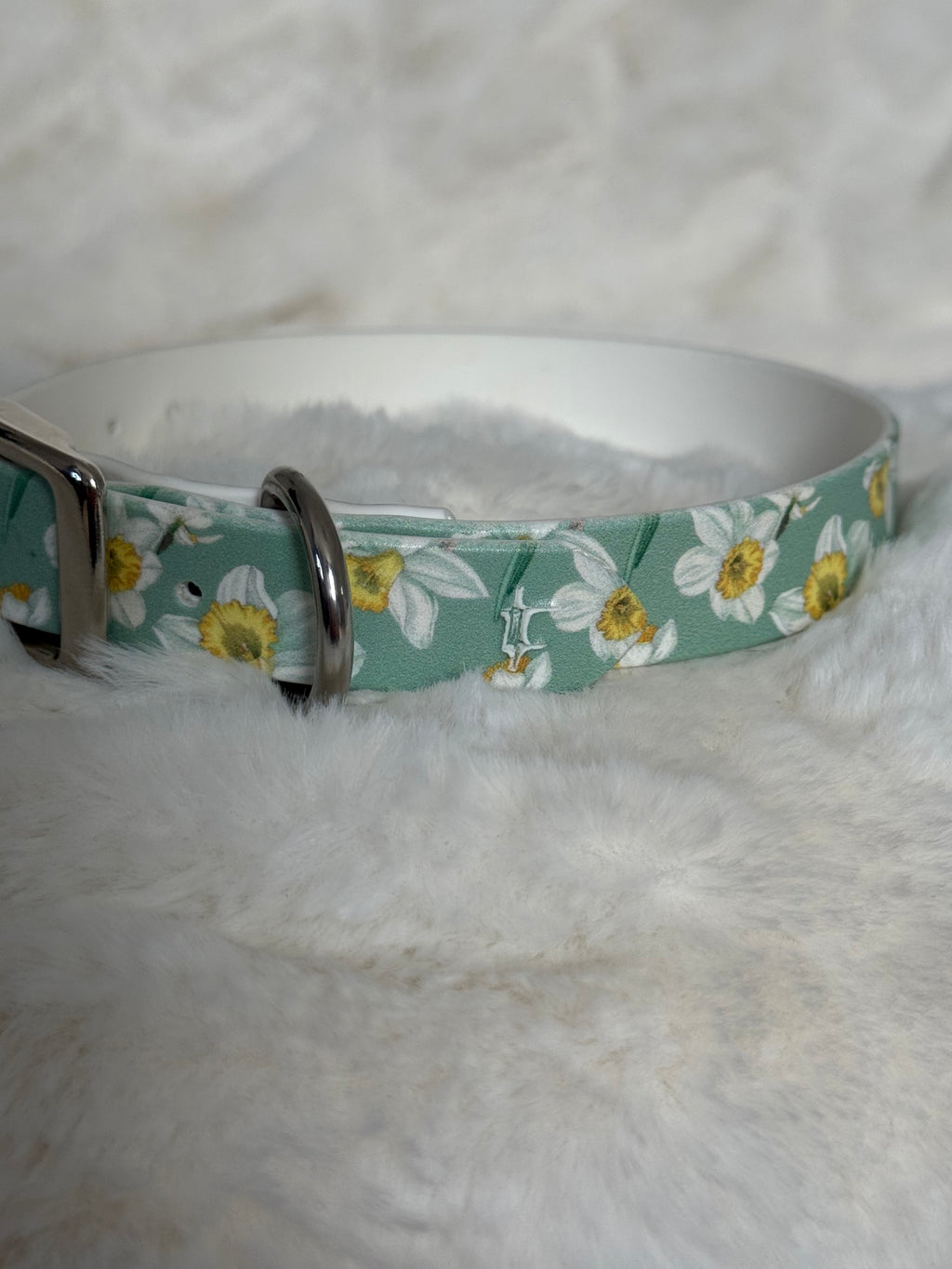 Daisy 🌼 Biothane halsband (20 mm)