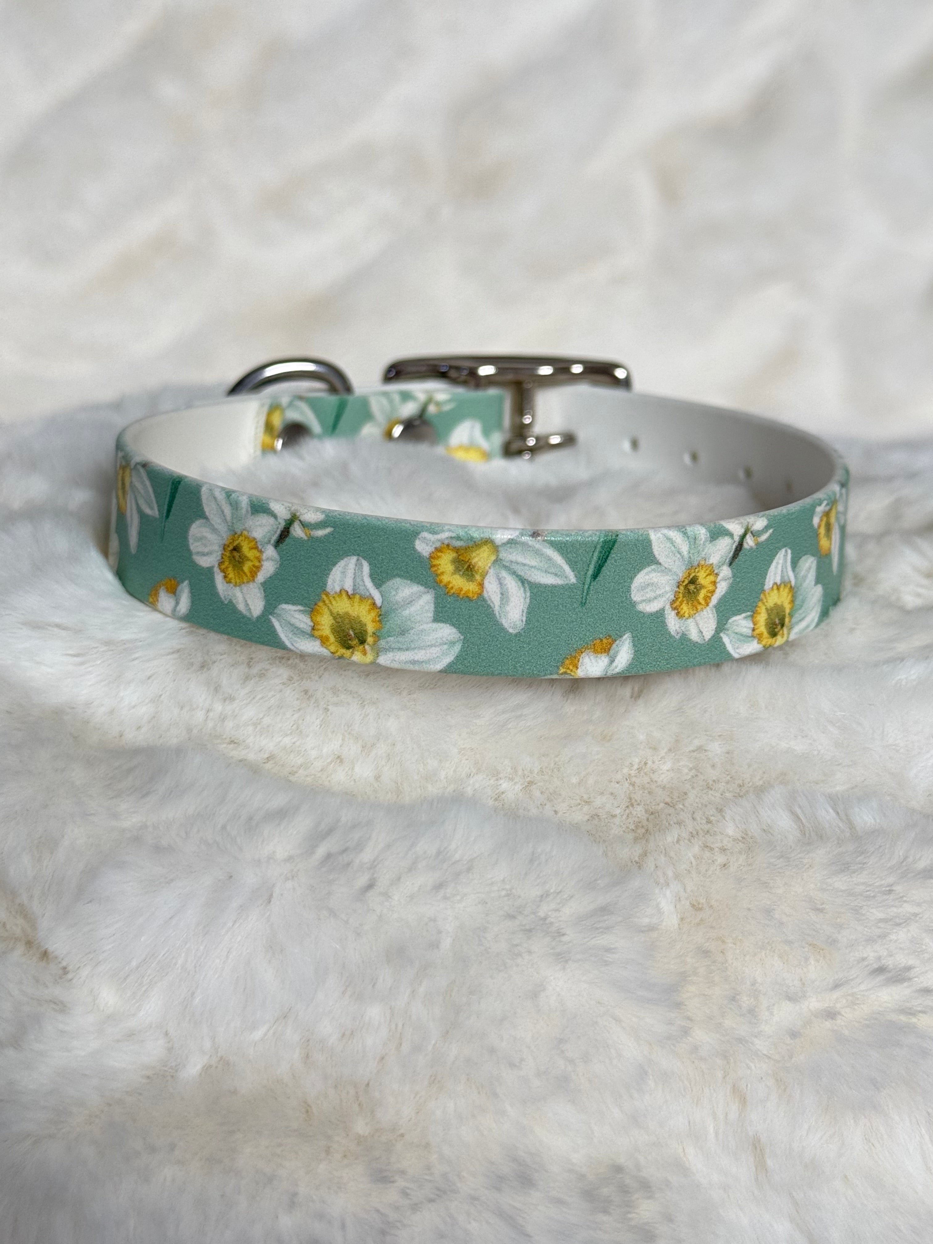 Daisy 🌼 Biothane halsband (20 mm)