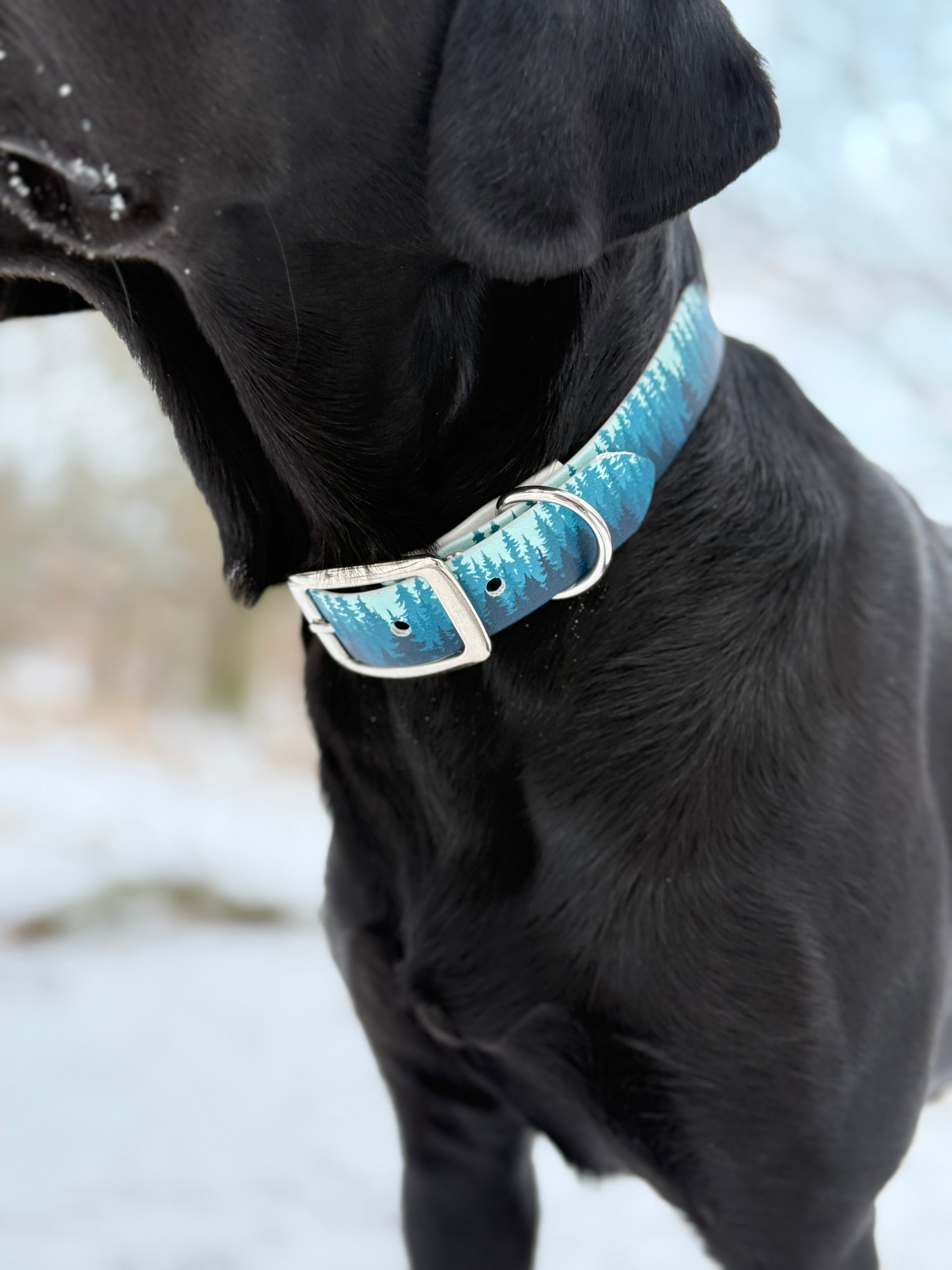 UV-printed Biothane halsband ”blå skogen”