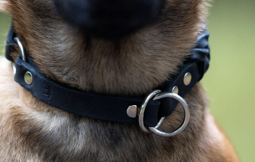 Classic Black - läderhalsband
