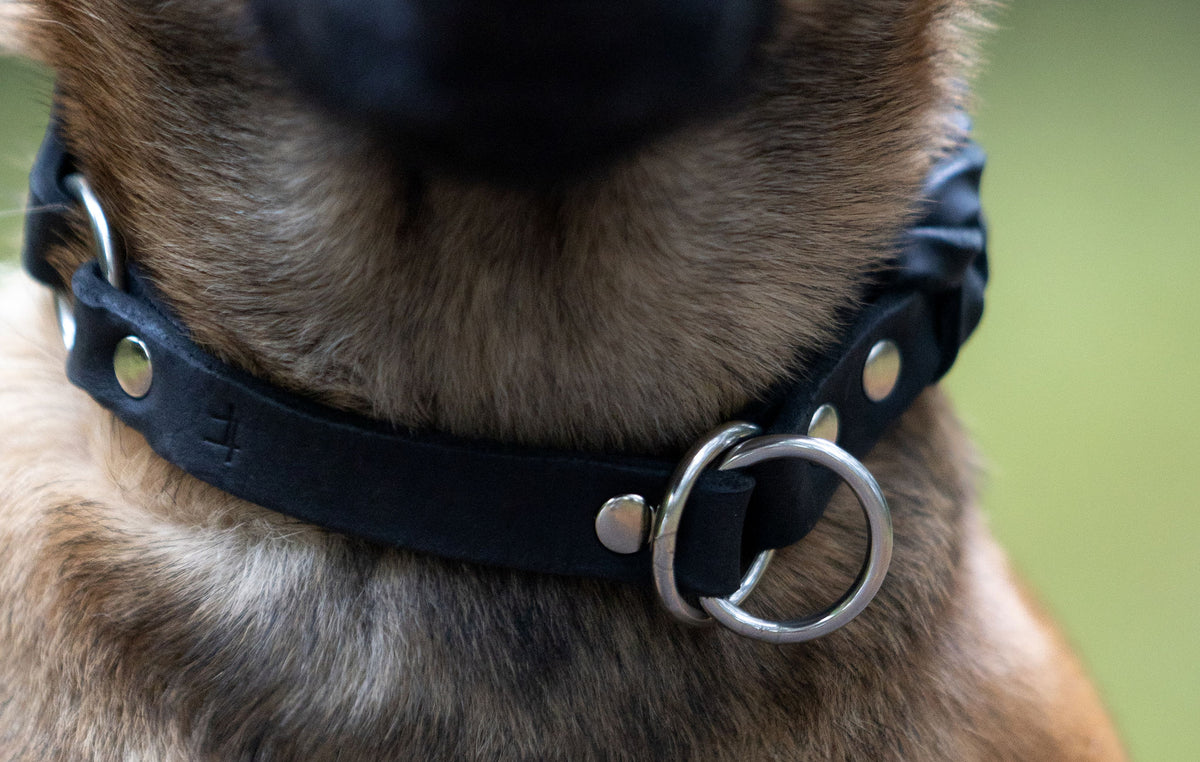 Classic Black - läderhalsband
