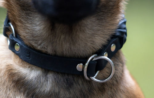 Classic Black - läderhalsband