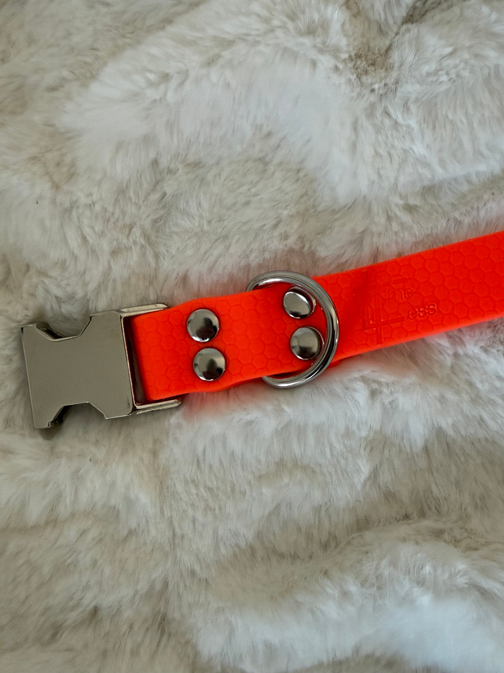 Hexa halsband med snabbspänne (special beställning)