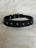 Biothane halsband special edition - diamant (50)