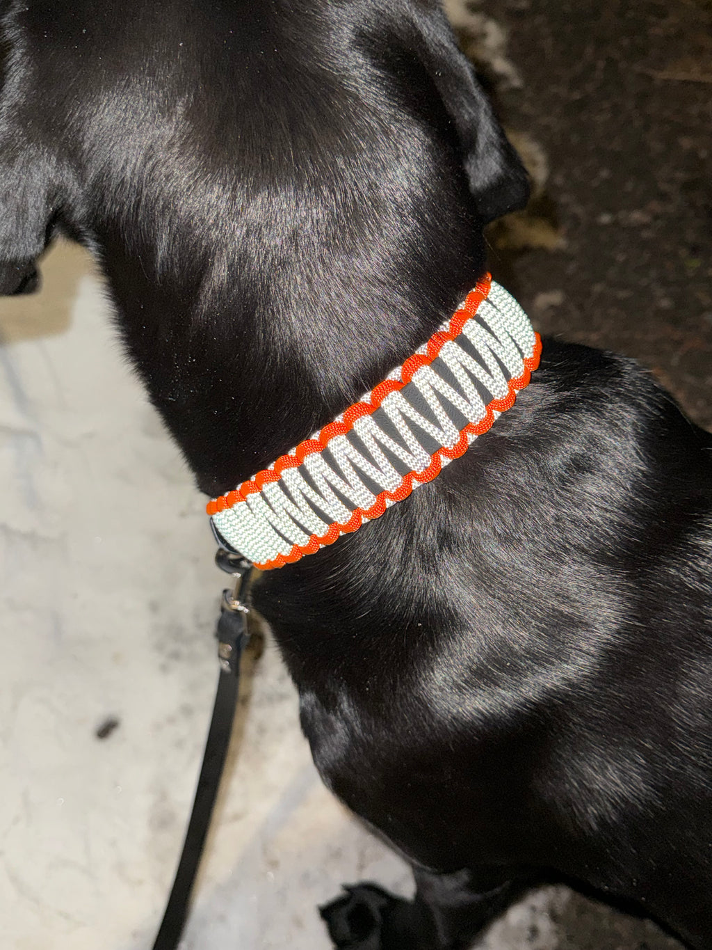 Reflexparacord halsband med färg detalj