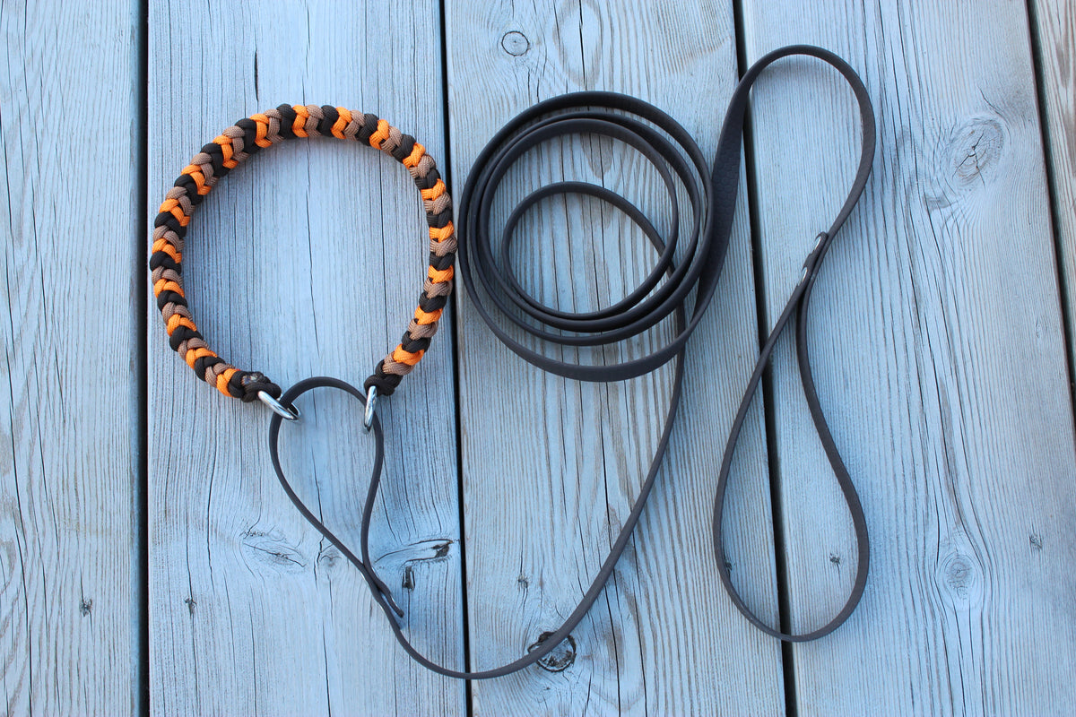 Allt-i-ett koppel – Paracord & Hexa (50)
