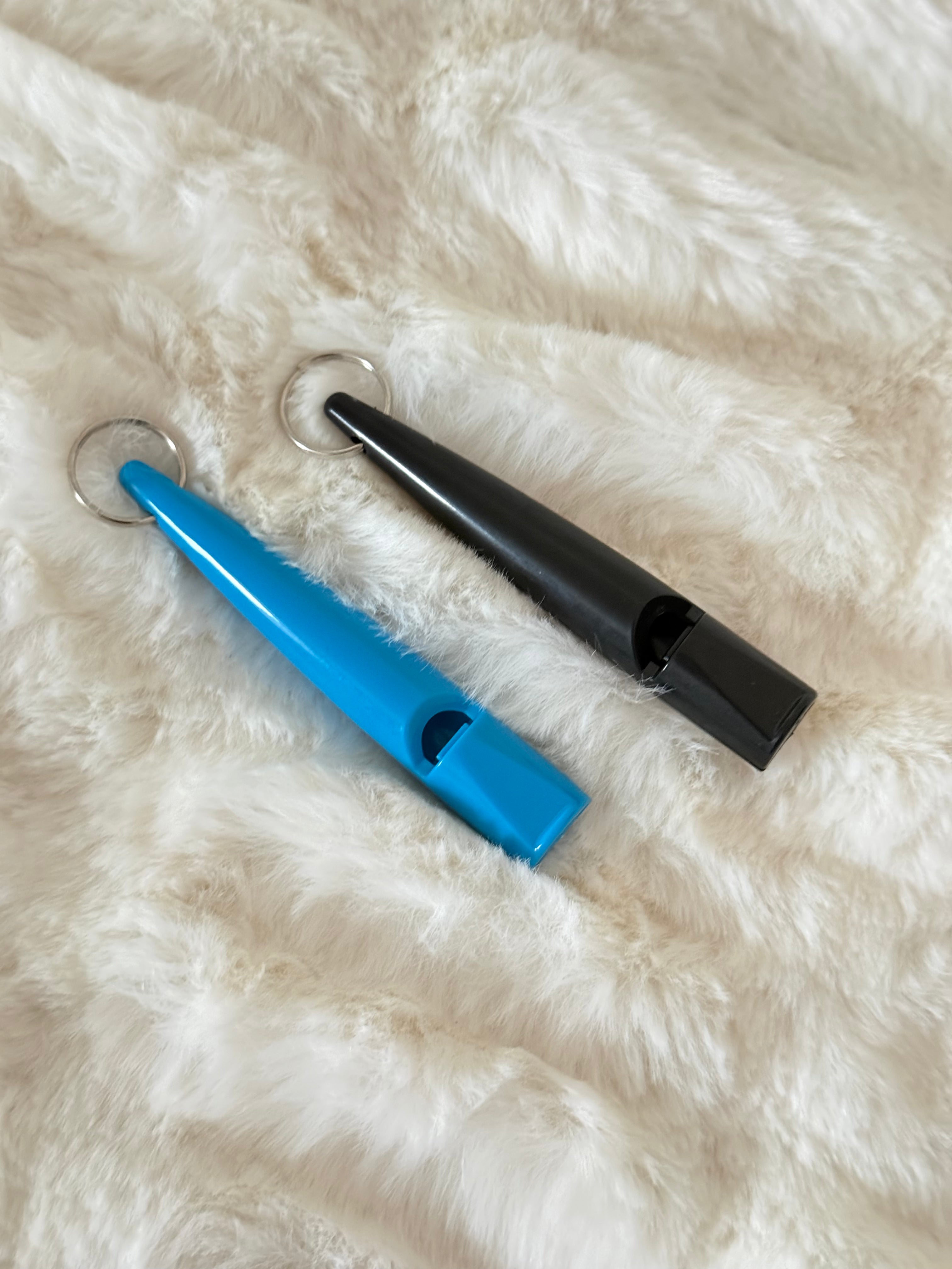 Visselpipa plast