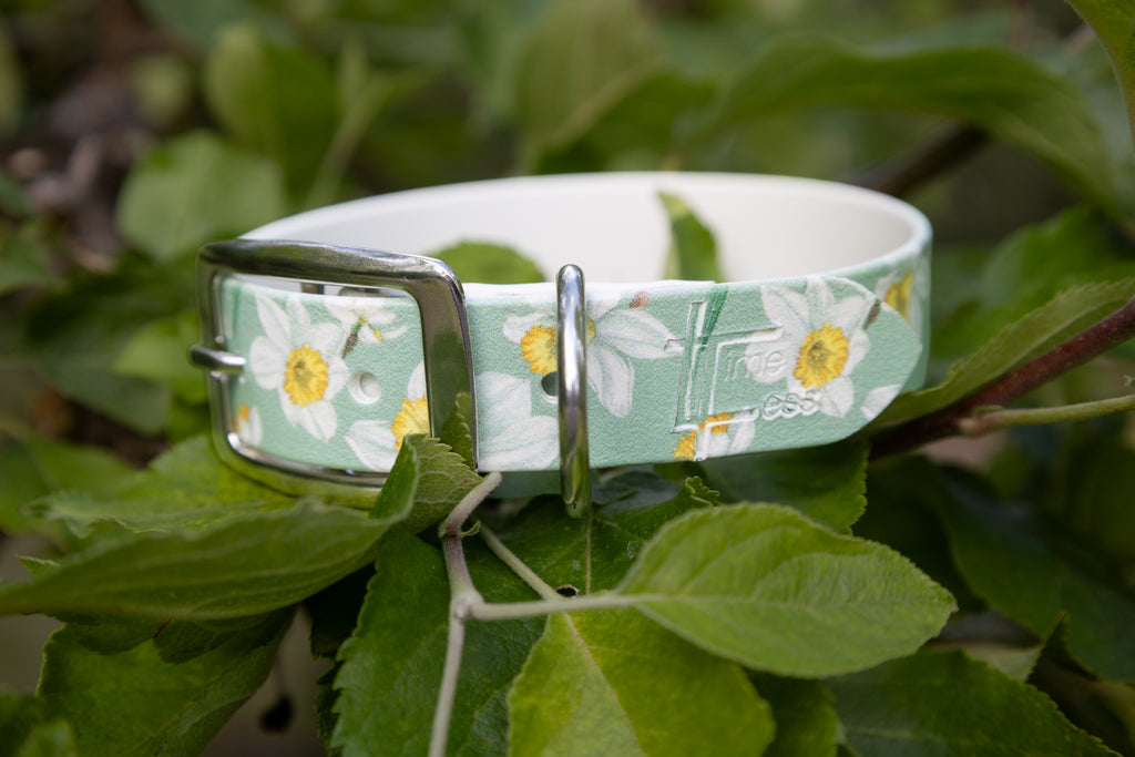 Daisy 🌼 Biothane Halsband (25 mm)