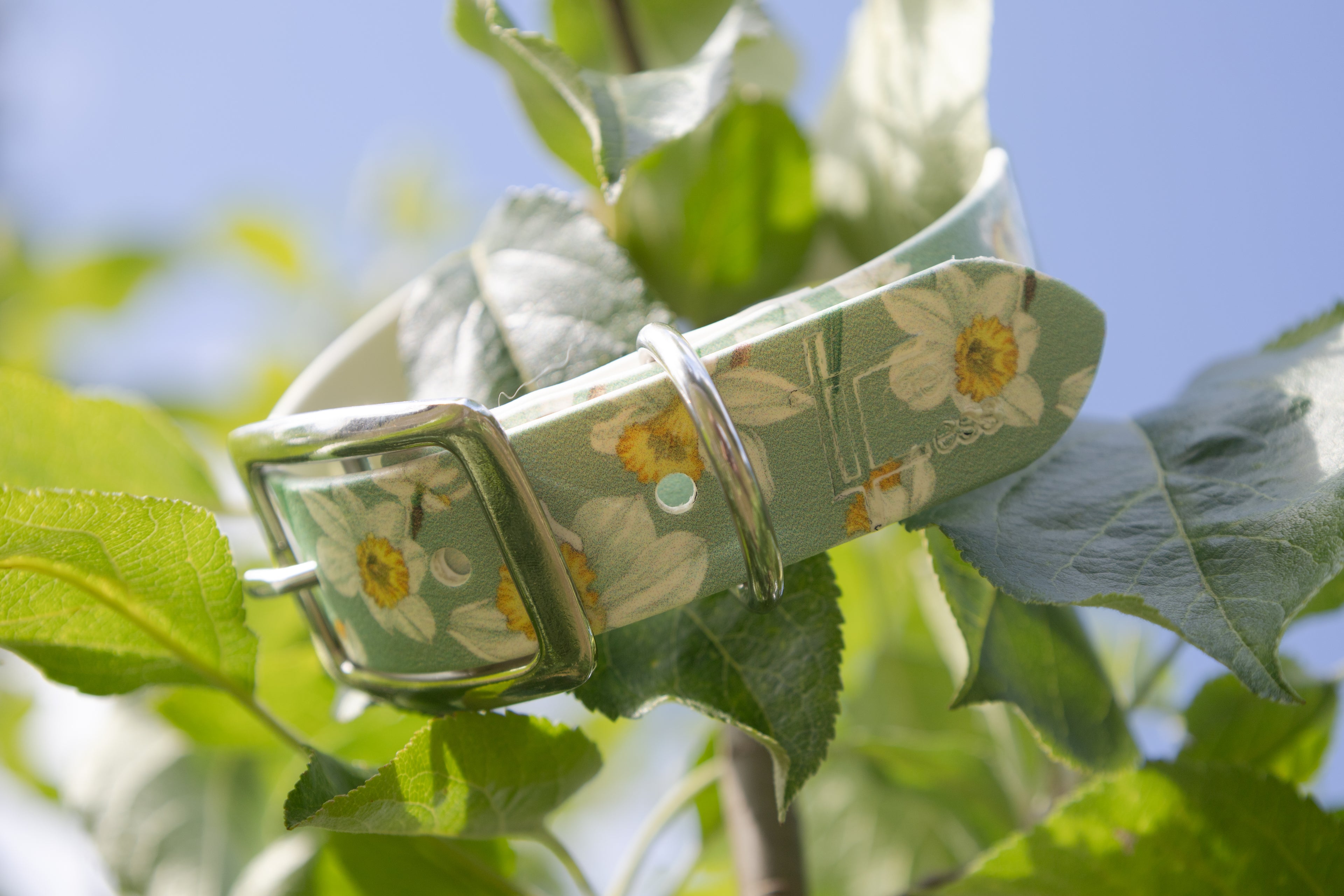 Daisy 🌼 Biothane Halsband (25 mm)