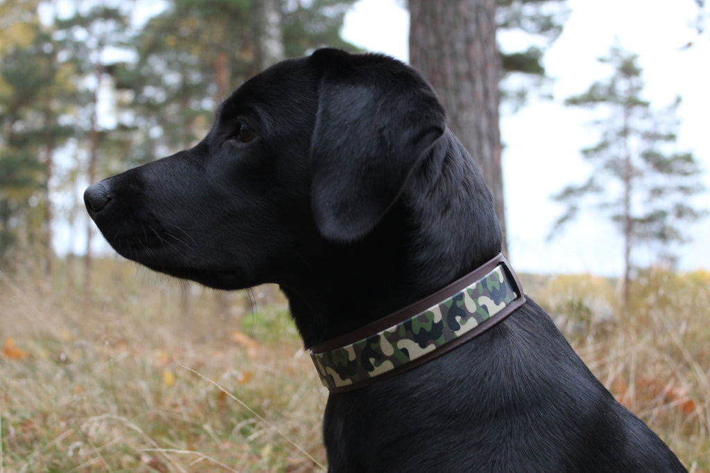 Biothane halsband Camouflage