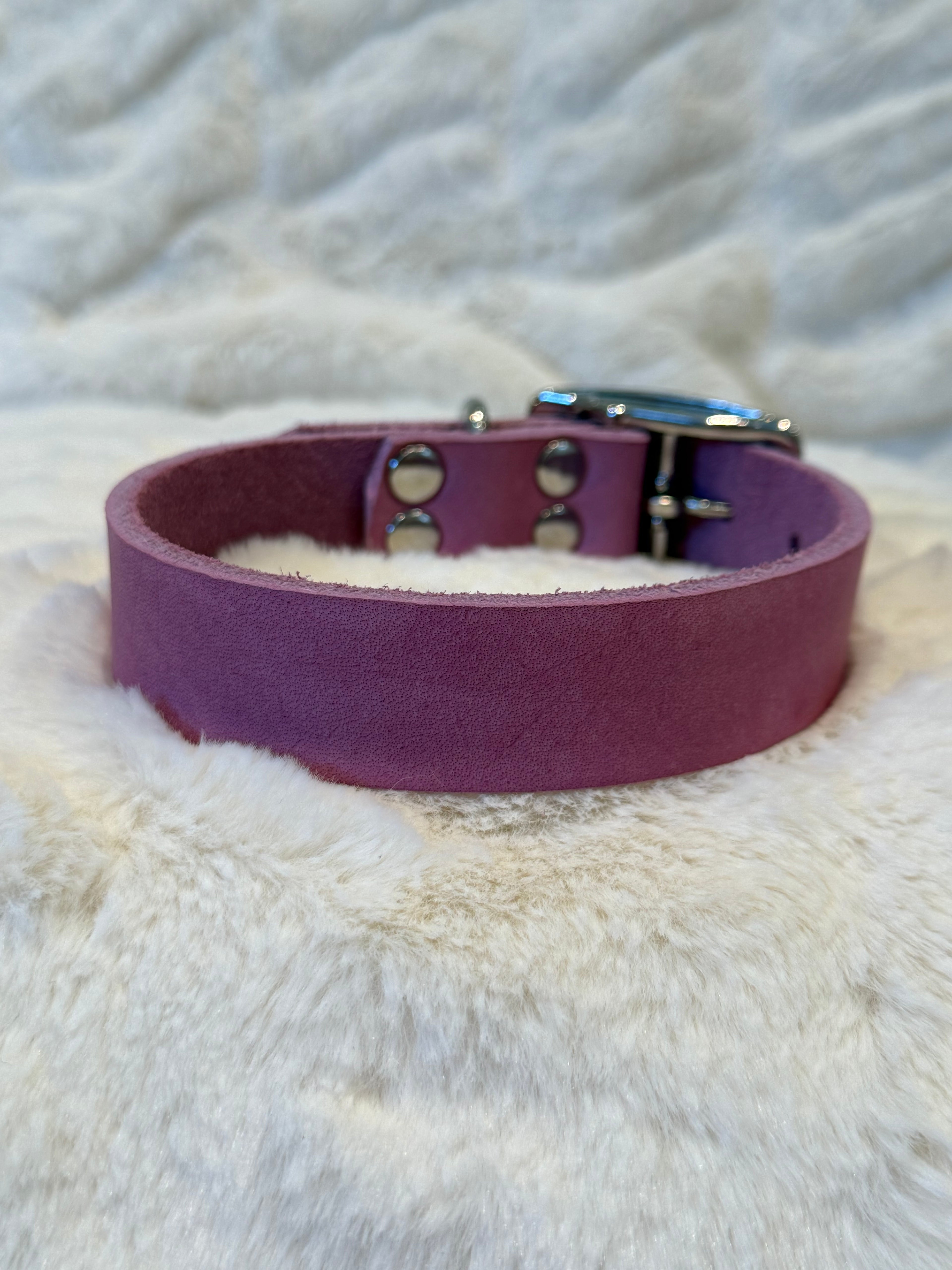Läder halsband (45)